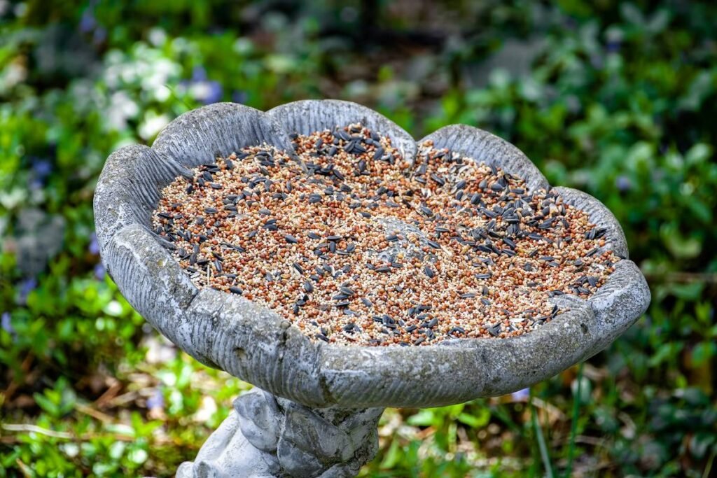 10 Reasons Your Garden Needs Decorative Outdoor Birdbaths (Plus How to Pick the Perfect One)