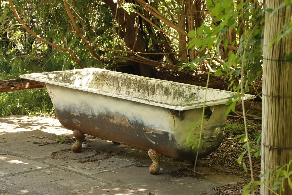 How to Choose & Apply Outdoor Birdbath Paint That Lasts (Without Harming Birds)