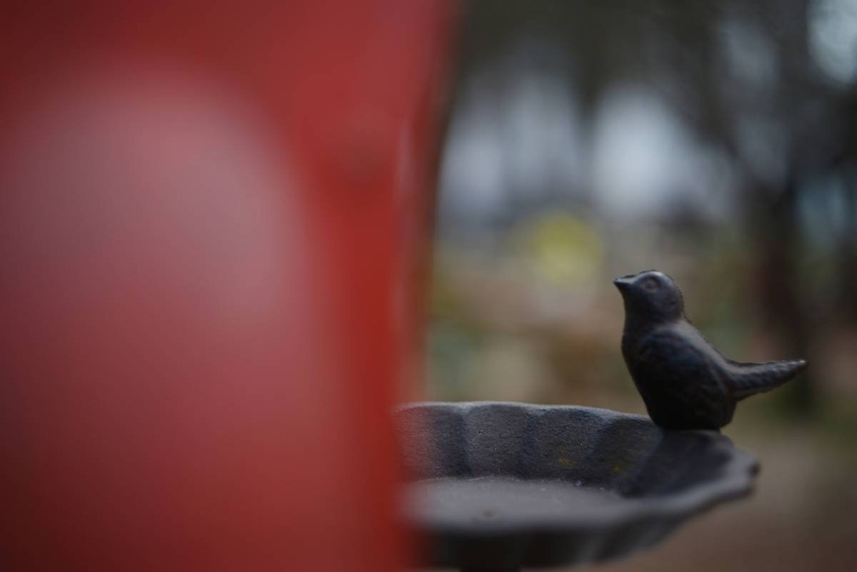 How to Choose the Perfect Wildlife Habitat Birdbath Outdoor Bird Bath (And Why Most People Get It Wrong)