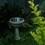 Why Your Backyard Feels Empty (And How Hanging Outdoor Birdbaths Fix It Instantly)