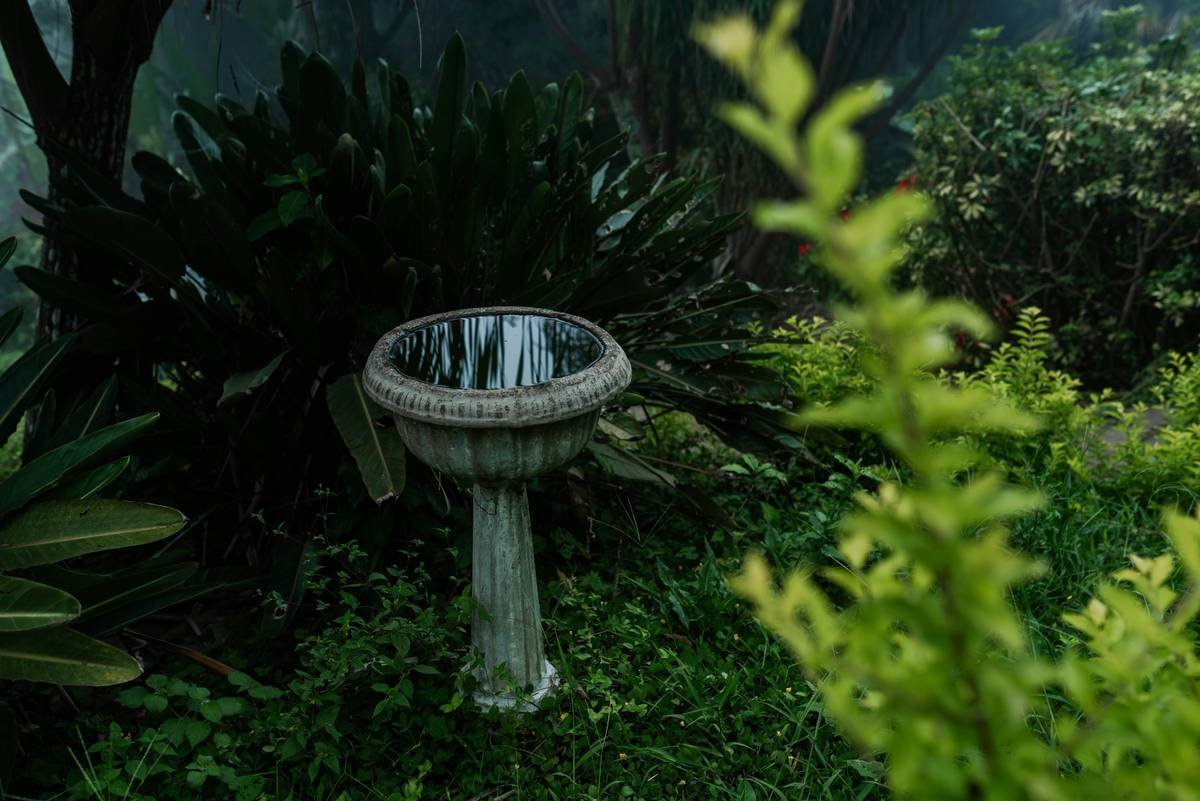 Why Your Backyard Feels Empty (And How Hanging Outdoor Birdbaths Fix It Instantly)