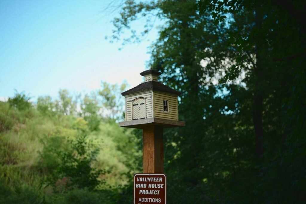 Wildlife Habitat Birdbath How to Make: A Step-by-Step Guide for Backyard Biodiversity