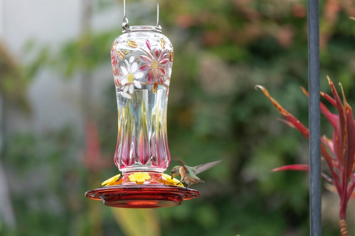 Wildlife Habitat Birdbath: What Is a True Wildlife-Friendly Design? (And Why Your Backyard Needs One)