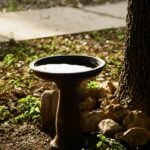 birdbath water feature: The Overlooked Secret to a Thriving Backyard Ecosystem