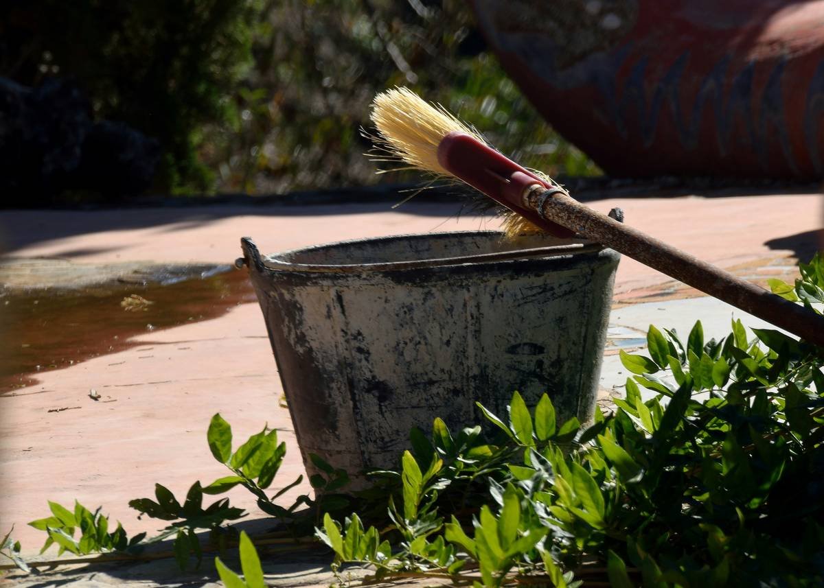 How to Clean Metal Birdbath: Expert-Backed Steps to Keep Feathers Happy & Rust at Bay