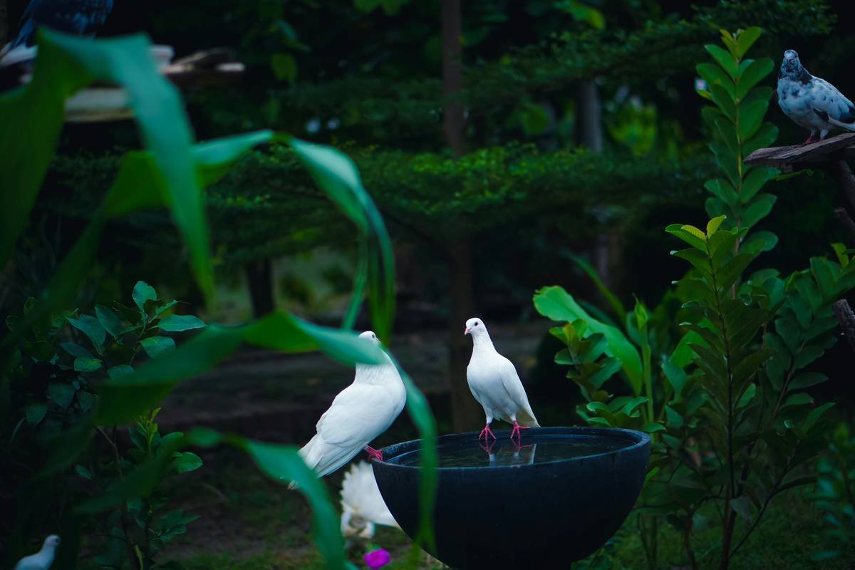 Close-up of hands painting an outdoor accent birdbath with bird-safe paint