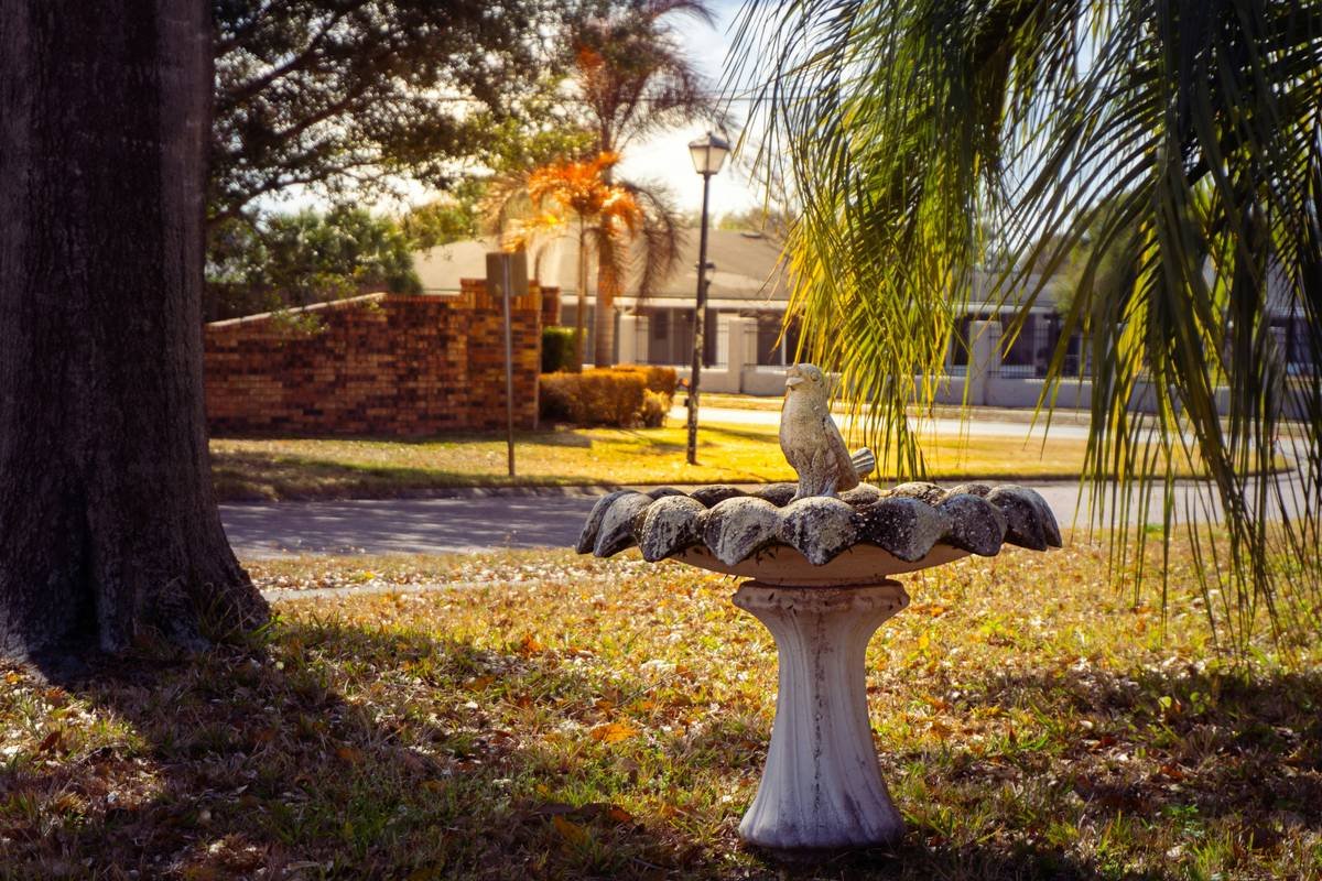 close-up of outdoor accent birdbath are metal bird with gentle water ripple from wind